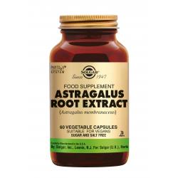 Astragalus Root Extract