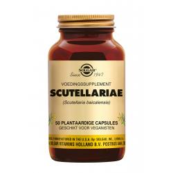 Scutellariae