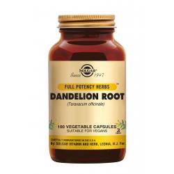 Dandelion Root