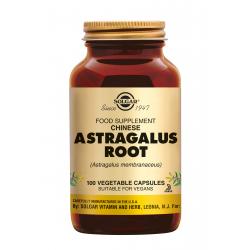 Astragalus Root