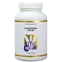 Ganoderma