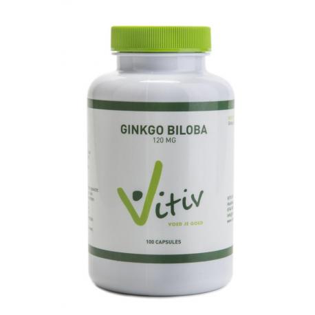 Ginkgo biloba