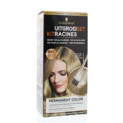 Vital uitgroeiset middenblond