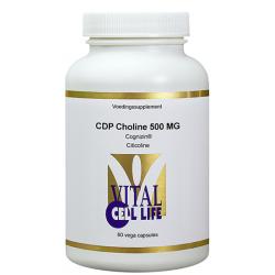 CDP choline 500mg