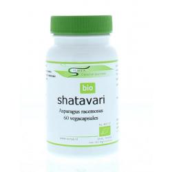 Shatavari bio