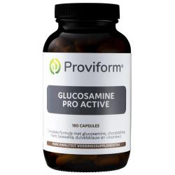 Glucosamine pro active