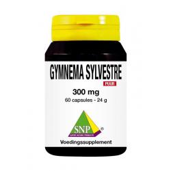 Gymnema sylvestre 300mg puur