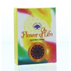 Kegelwierook flower of life