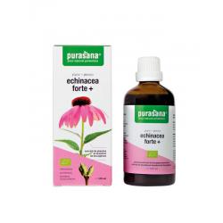 Echinacea forte + vegan bio