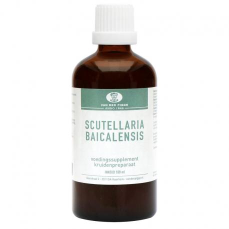 Scutellaria baicelensis tinctuur