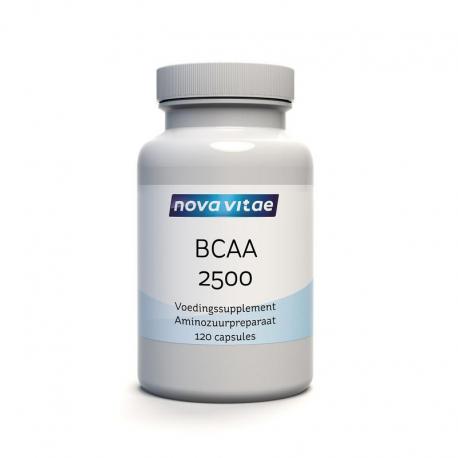 BCAA 2500 2:1:1