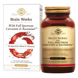 Brain Works