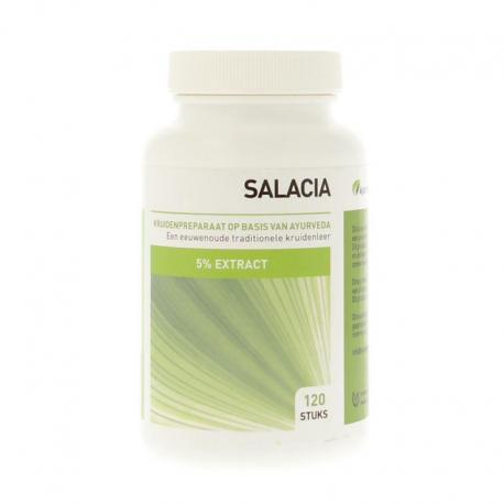 Salacia oblonga 5% saponinen extract