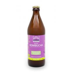 Kombucha green tea - blossom